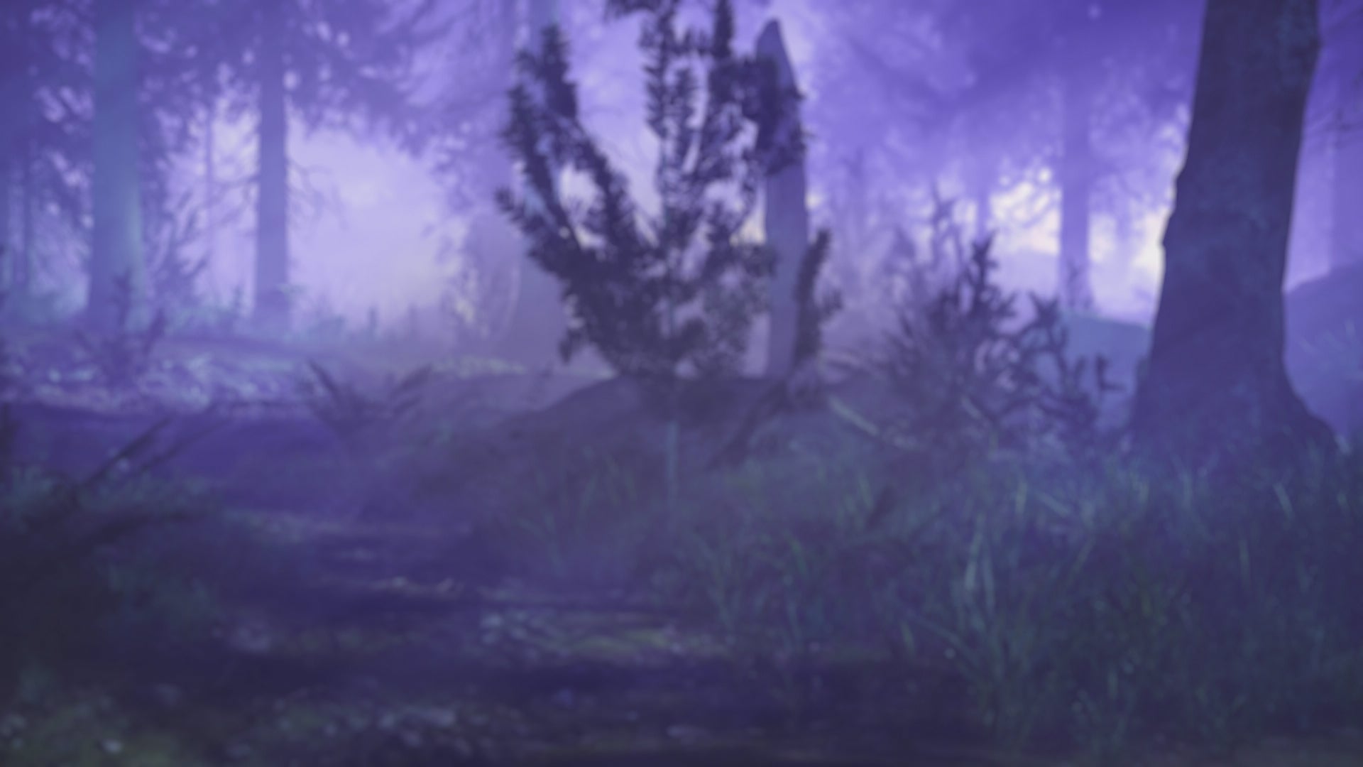 CRYPTO COURSE for BEGINNERS